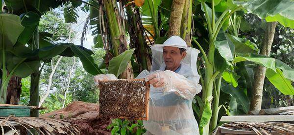 Hiệu quả kinh tế từ mô hình Tổ hợp tác nuôi ong trên địa bàn xã Quang Diệm