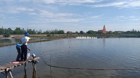 Mô hình nuôi cá chim vây vàng đạt tiêu chuẩn VietGAP đầu tiên tại Hà Tĩnh
