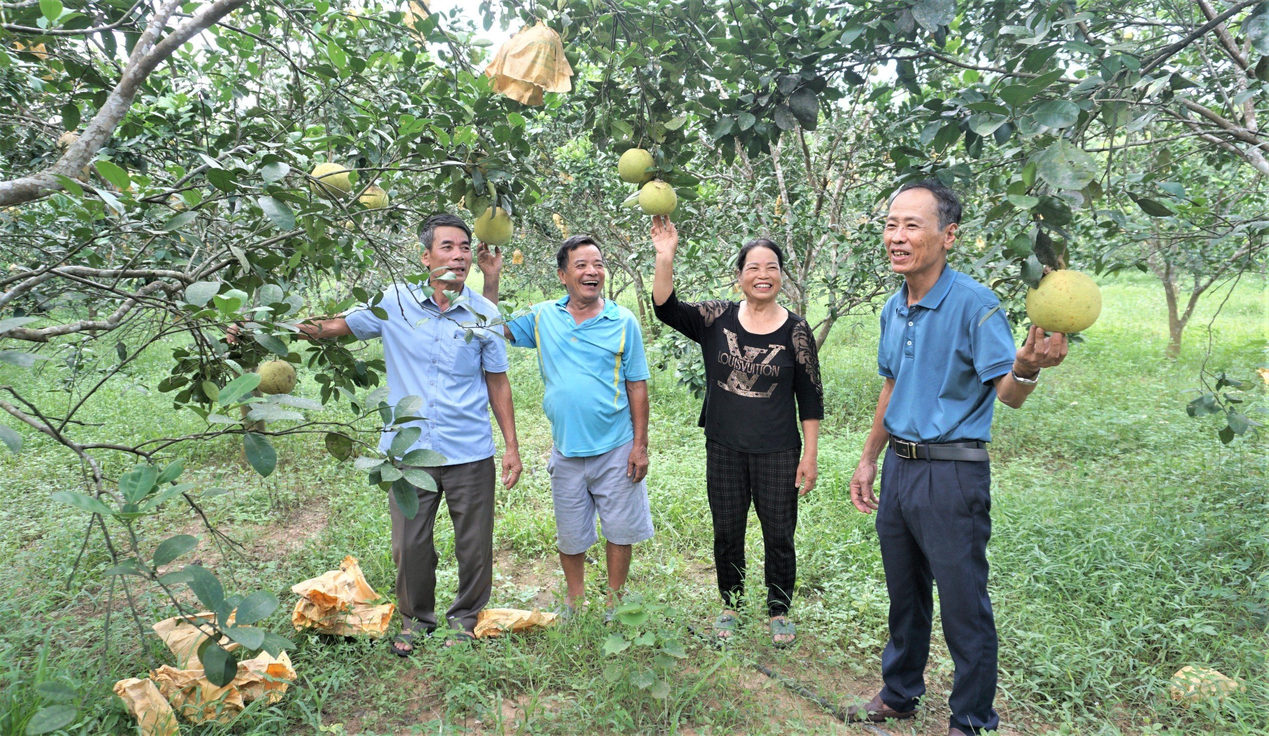 Nhiều điển hình Người cao tuổi làm kinh tế giỏi trên vùng đất Hương Khê