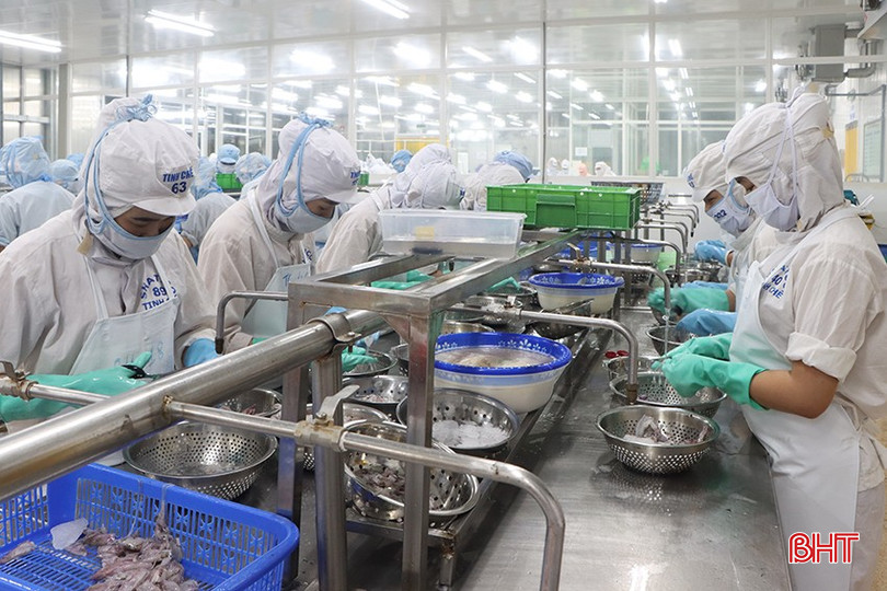 Doanh nghiệp xuất khẩu Hà Tĩnh nắm bắt cơ hội, đón dòng ngoại tệ