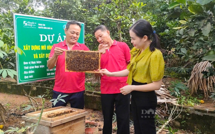 Nuôi ong mật ở xã này của Hà Tĩnh theo kiểu gì mà hộ nào...